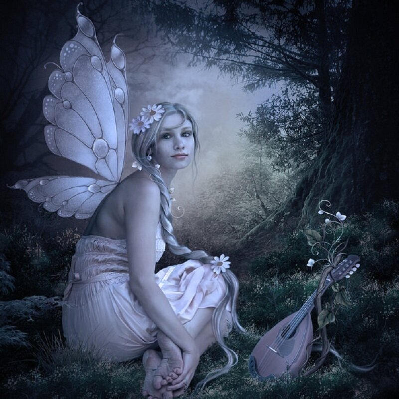 Fairy with Wings and Guitar