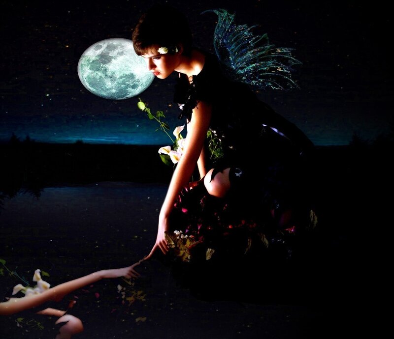 Fairy with Wings — Black