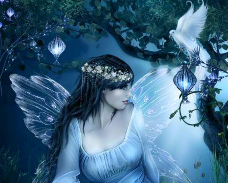 Fairy with Wings — Blue, Serene, Night, Digital Art, Dove