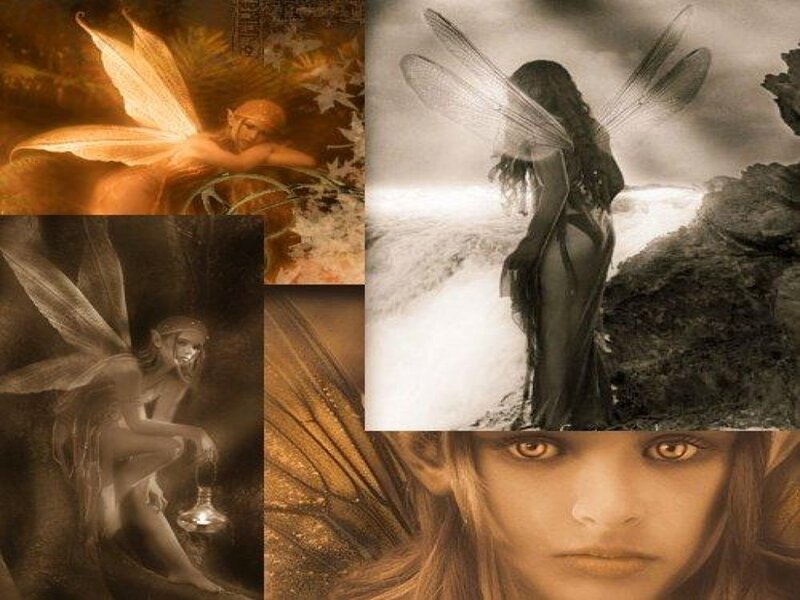Fairy with Wings — Brown, Dramatic