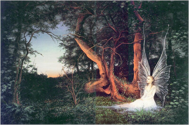 Fairy with Wings in Forest — Green, Serene, Sunset