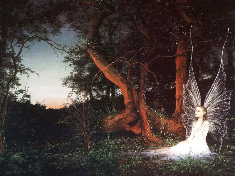 Fairy with Wings in Forest — White, Serene