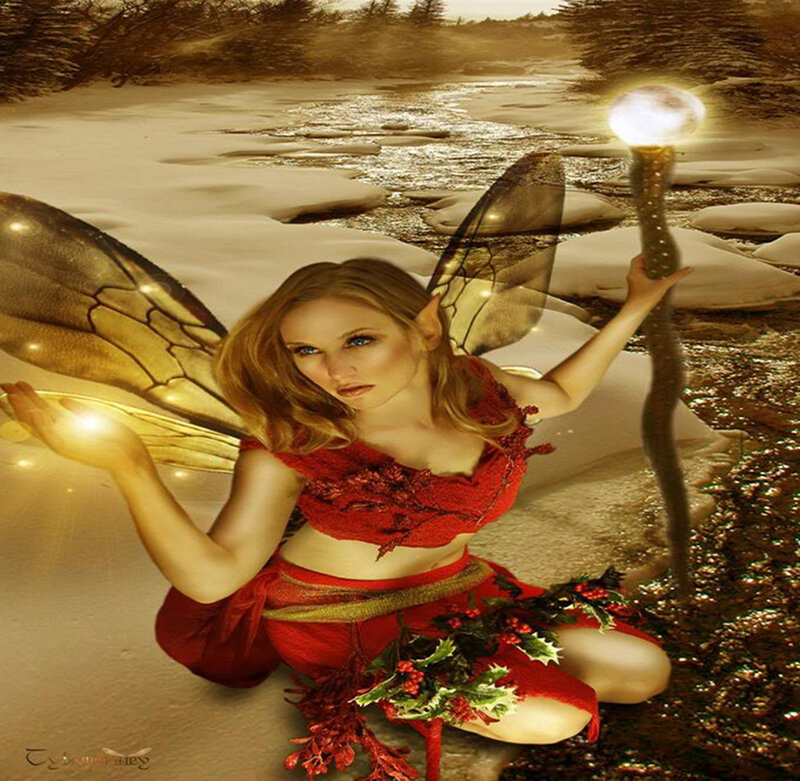 Fairy with Wings — Red, Magical