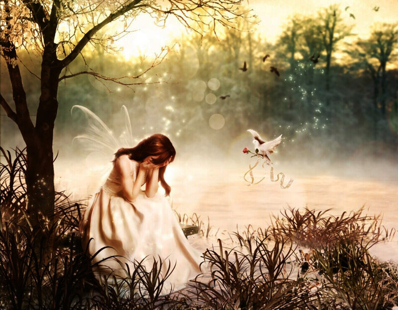 Fairy with Wings — White, Serene
