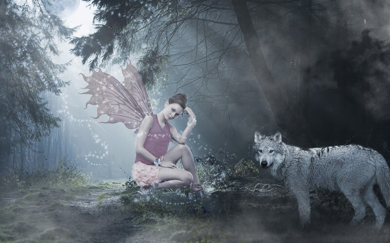 fairy with wolf in forest
