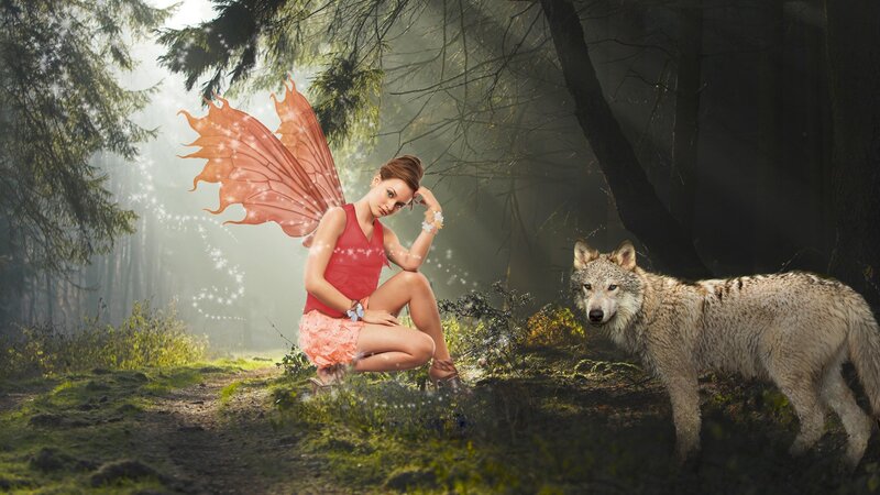 fairy with wolf in forest
