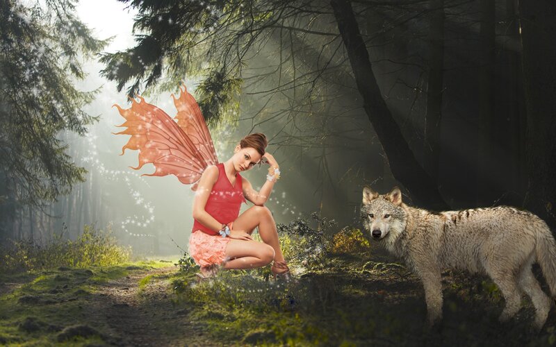 Fairy with Wolf in Forest — Green