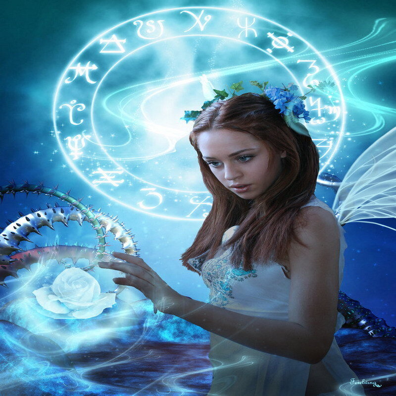 fairy with zodiac circle