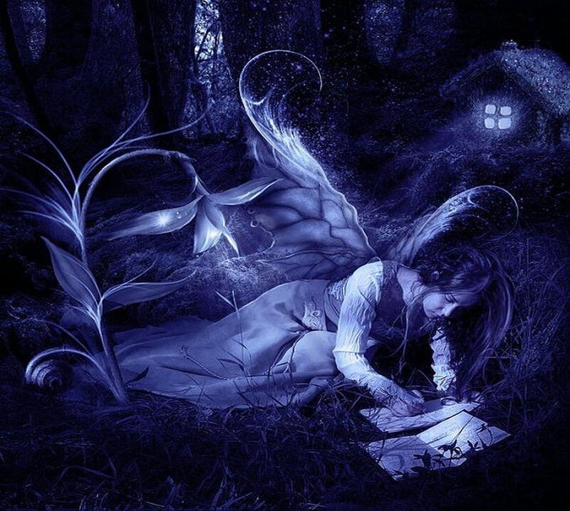 Fairy Writing in Forest