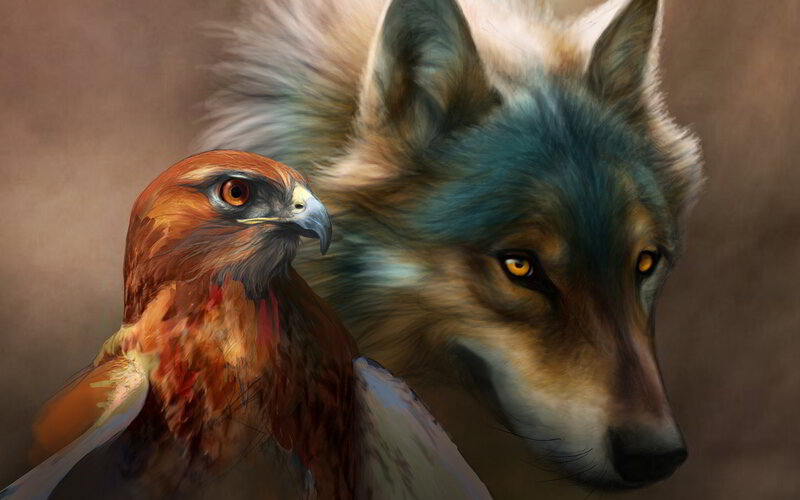 Falcon and Wolf