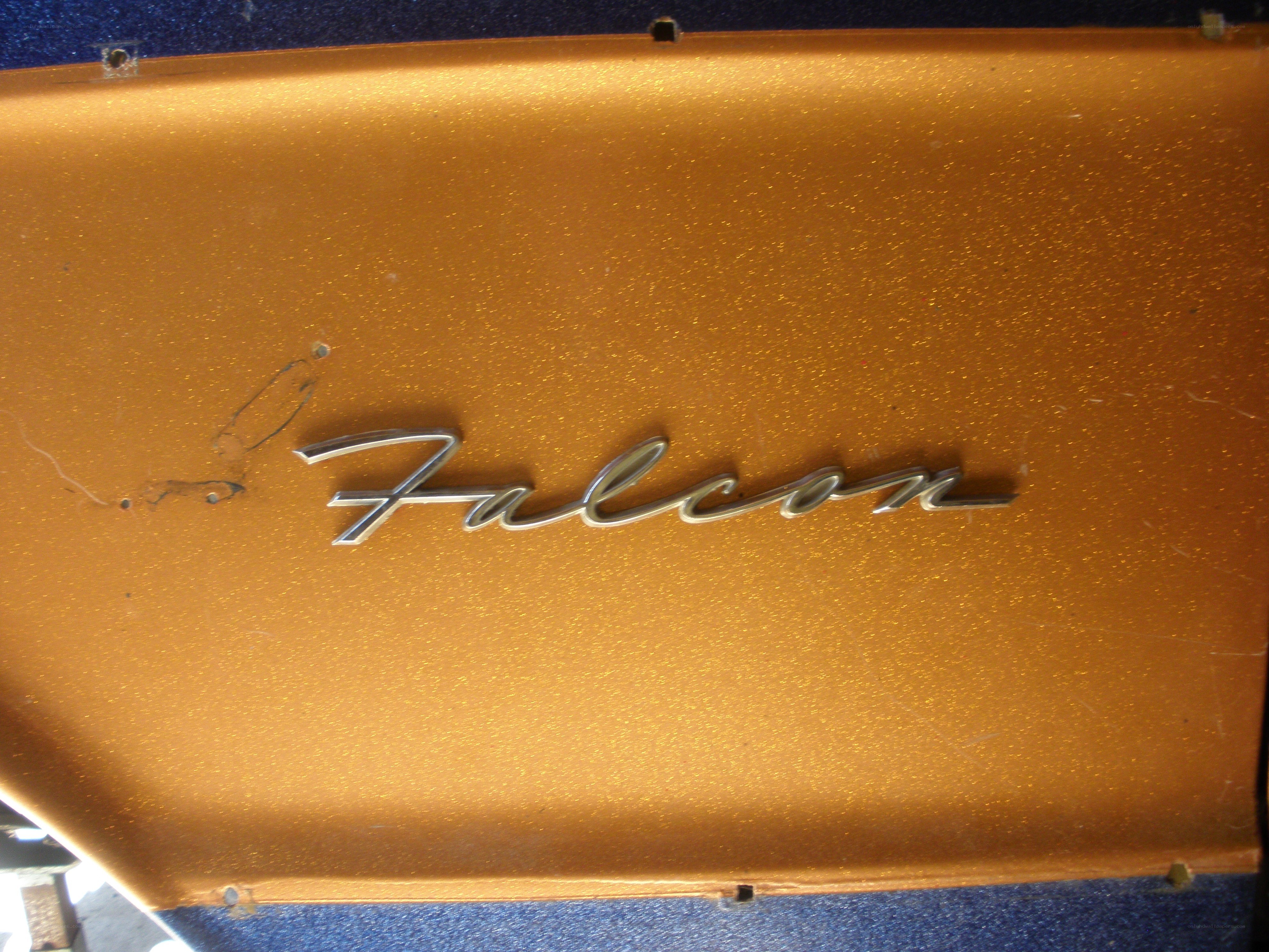 Falcon emblem on car panel