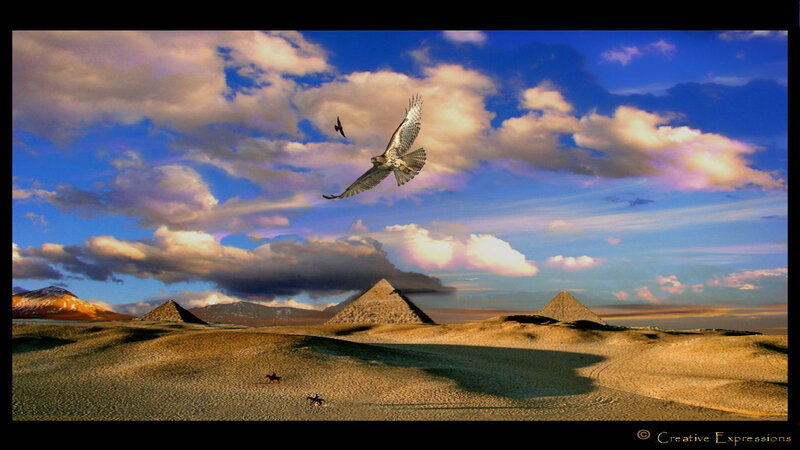 Falcon Flying over Pyramids