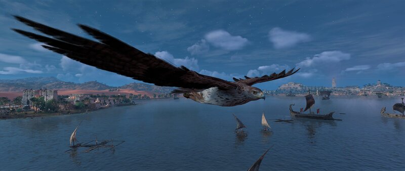 Falcon Flying over River