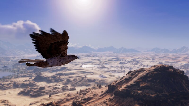 Falcon in Flight — Blue, Serene, Afternoon