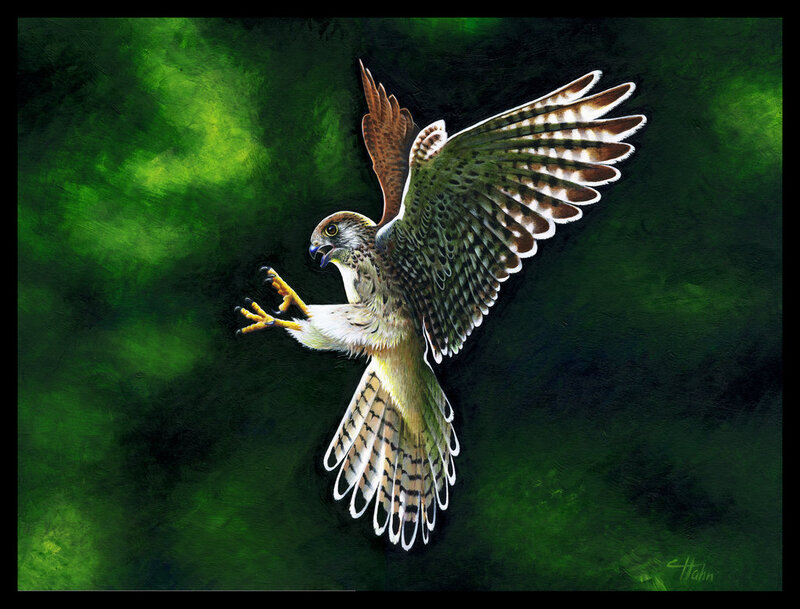 Falcon in Flight — Green