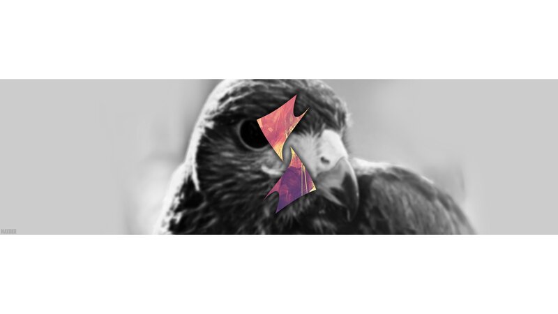 Falcon in Grayscale
