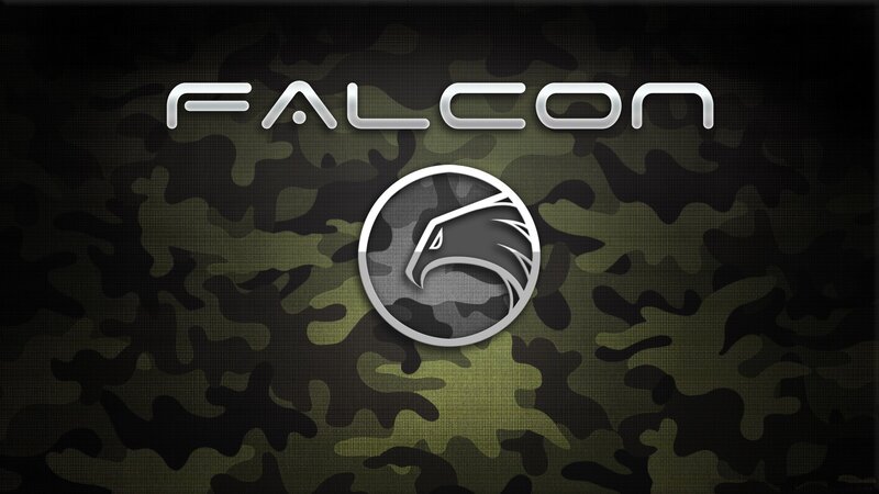 Falcon Logo on Camo