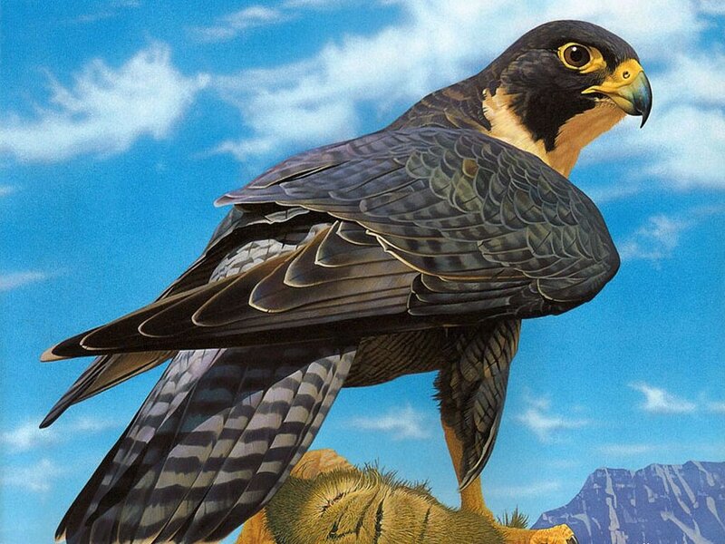 Falcon on a Perch — Blue