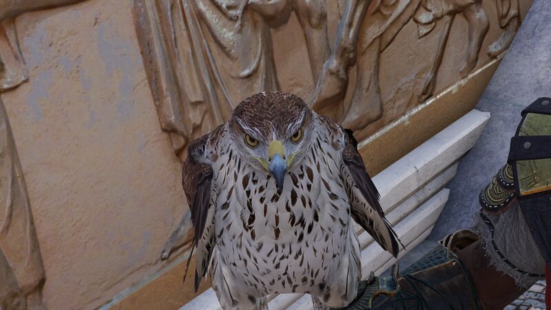 Falcon on a Perch — Brown, Calm