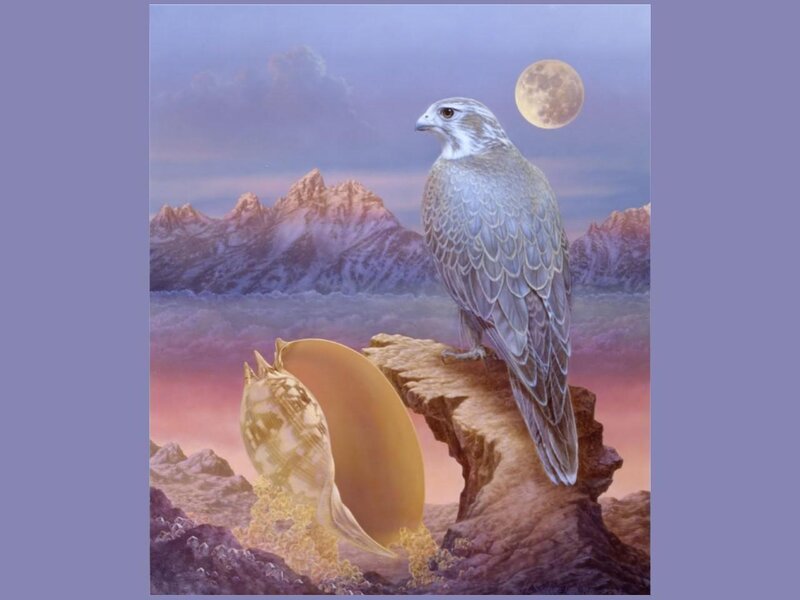 Falcon on a Rock — Purple