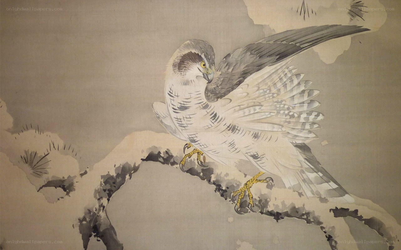 Falcon on a snowy branch