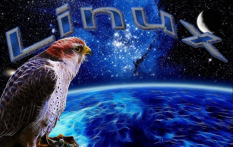 Falcon Overlooking Earth