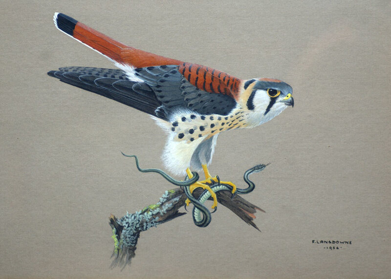 Falcon with a snake