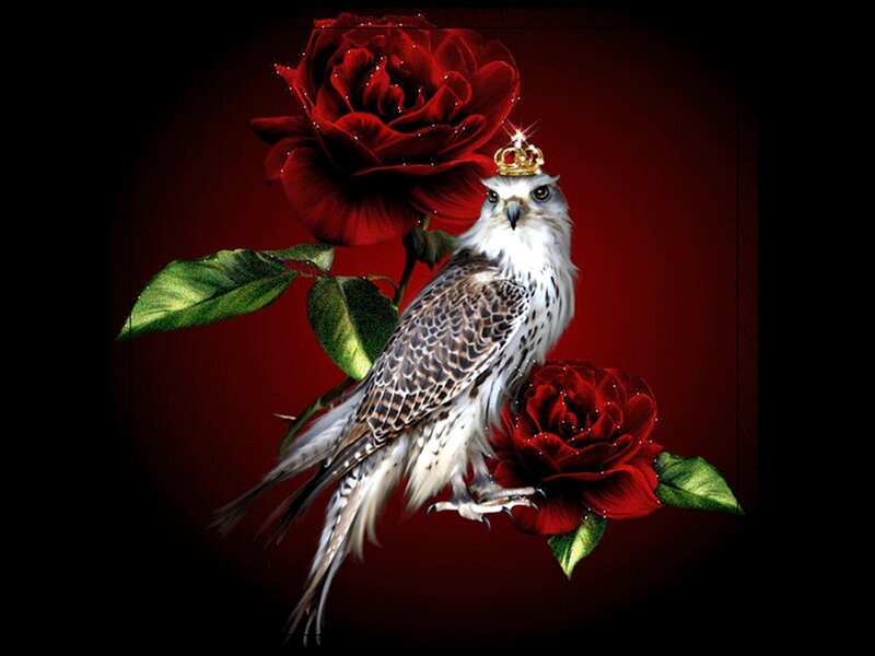Falcon with Crown