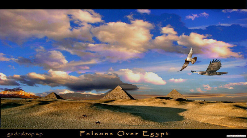Falcons Flying over Pyramids
