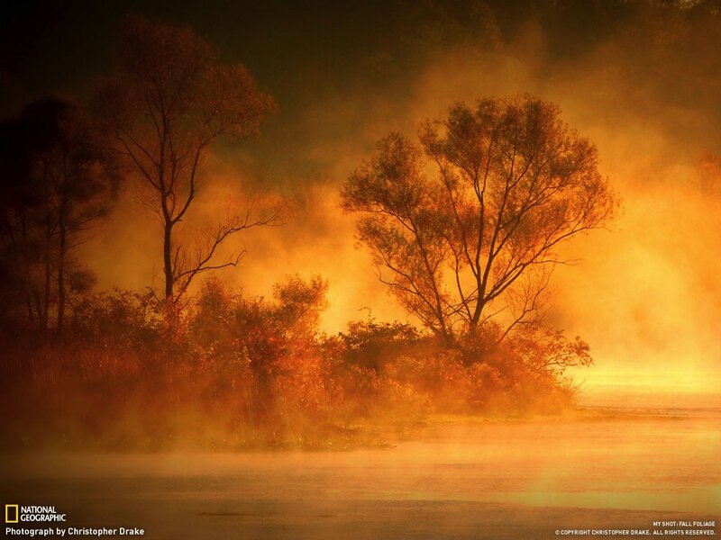 Fall foliage at dawn