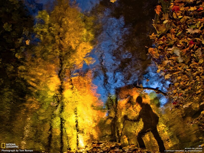 Fall foliage reflection in water