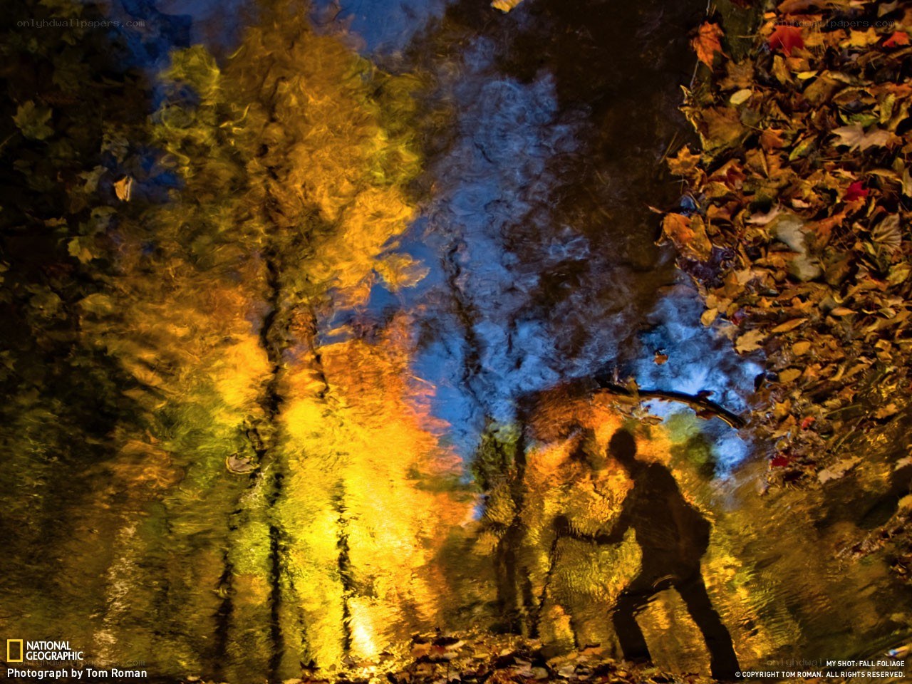 Fall foliage reflection in water