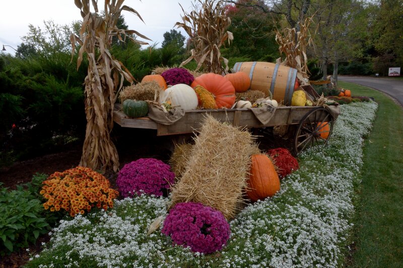 Fall Harvest Display — Orange, Festive
