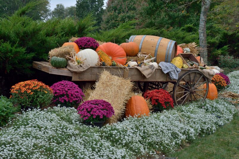 Fall Harvest Display — Orange