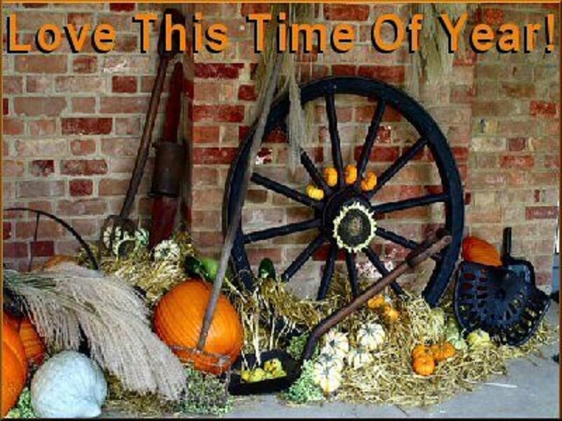 Fall Harvest Display