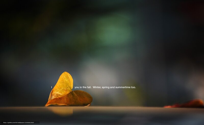 fall leaf with text