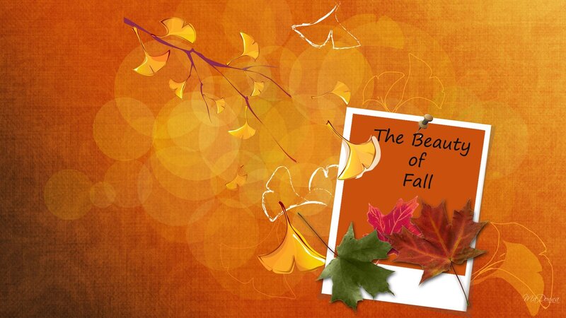 Fall Leaves on Card