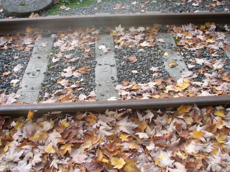 Fall leaves on train tracks