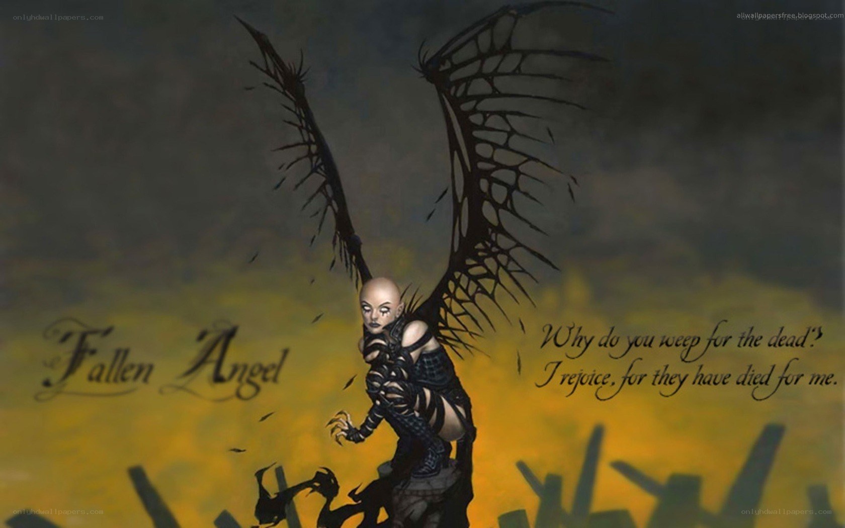 Fallen Angel Artwork