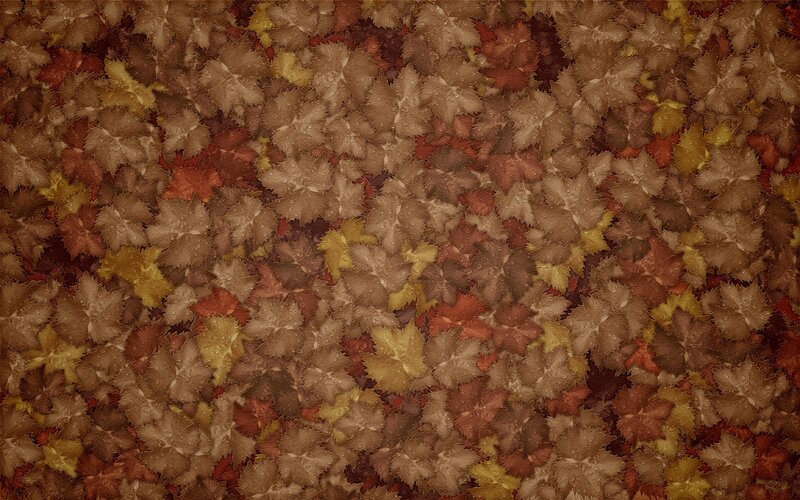 Fallen Autumn Leaves — Brown, Calm, Photograph