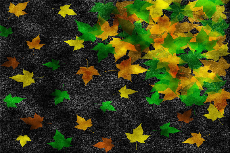 Fallen Autumn Leaves — Green, Calm