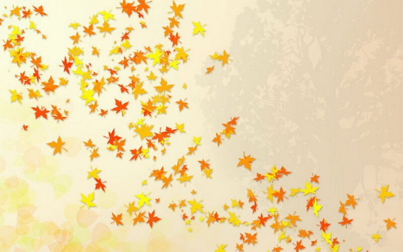 Fallen Autumn Leaves — Orange, Calm, Illustration