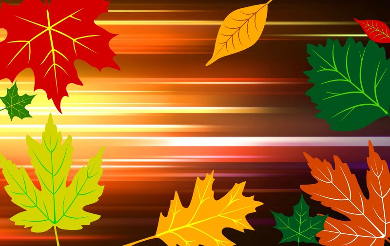 Fallen Autumn Leaves — Orange, Vibrant