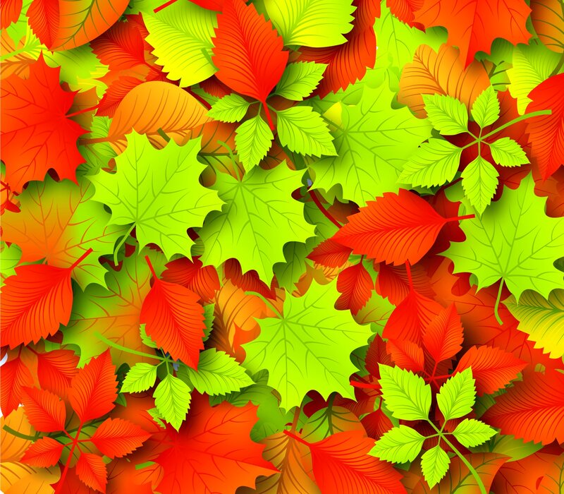Fallen Autumn Leaves — Red, Vibrant, Vector Art