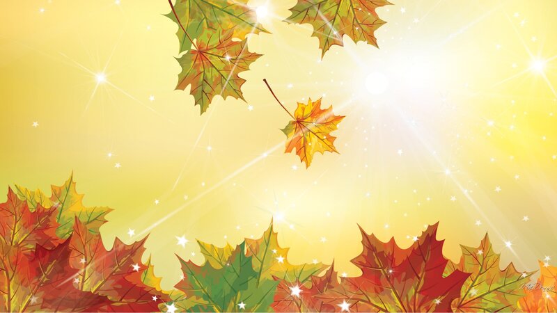 Fallen Autumn Leaves — Yellow, Bright