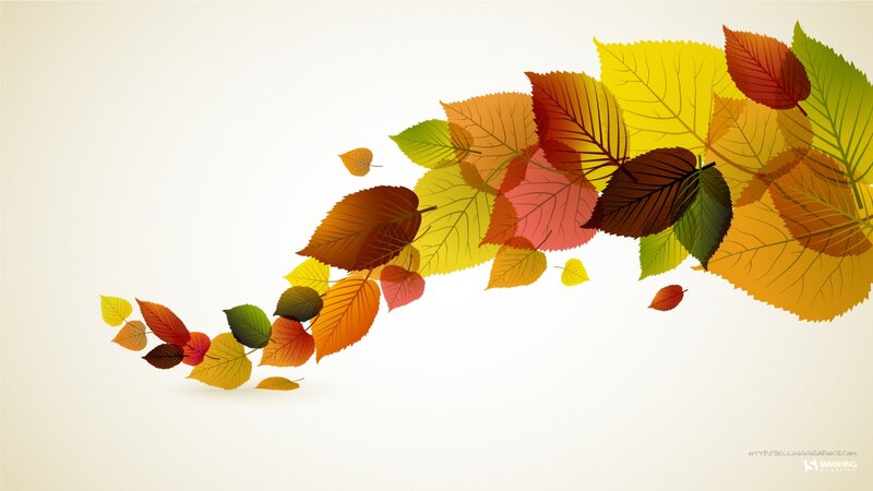 Fallen Autumn Leaves — Yellow, Calm, Vector Art, Wind, Orange, Red