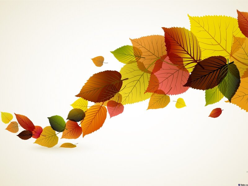 Fallen Autumn Leaves — Yellow, Calm, Vector Art, Wind