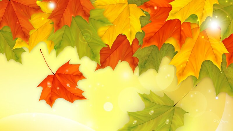 Fallen Autumn Leaves — Yellow, Warm, Digital Art