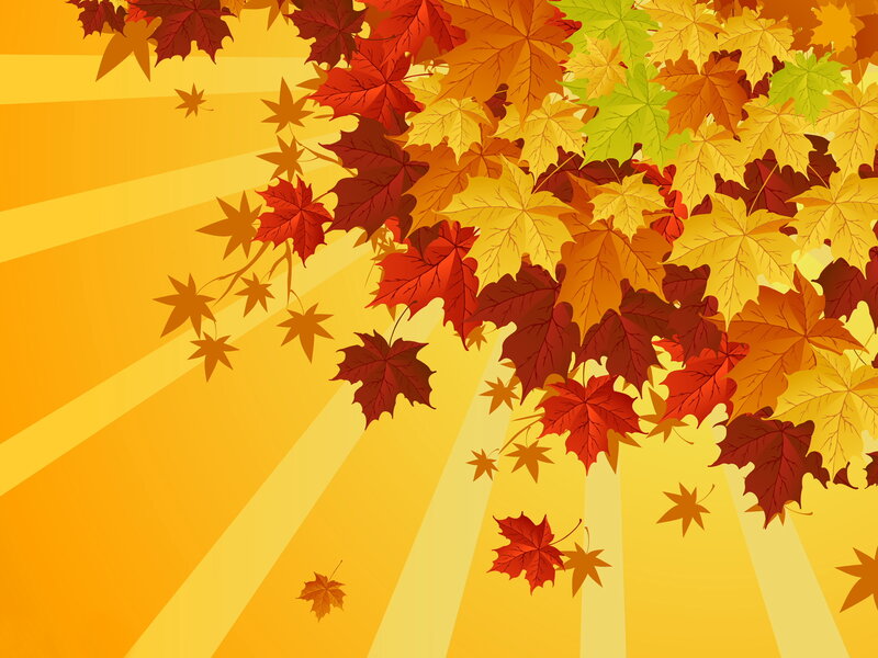 Fallen Autumn Leaves — Yellow, Warm, Vector Art, Sunbeams