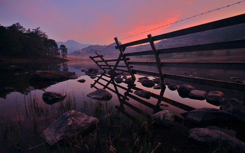 Fallen Fence at Lake — Purple